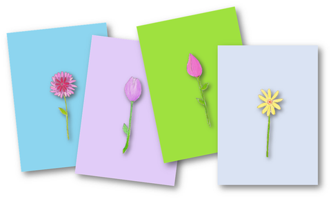 4 Pack Pretty Flower All Occasion Note Cards