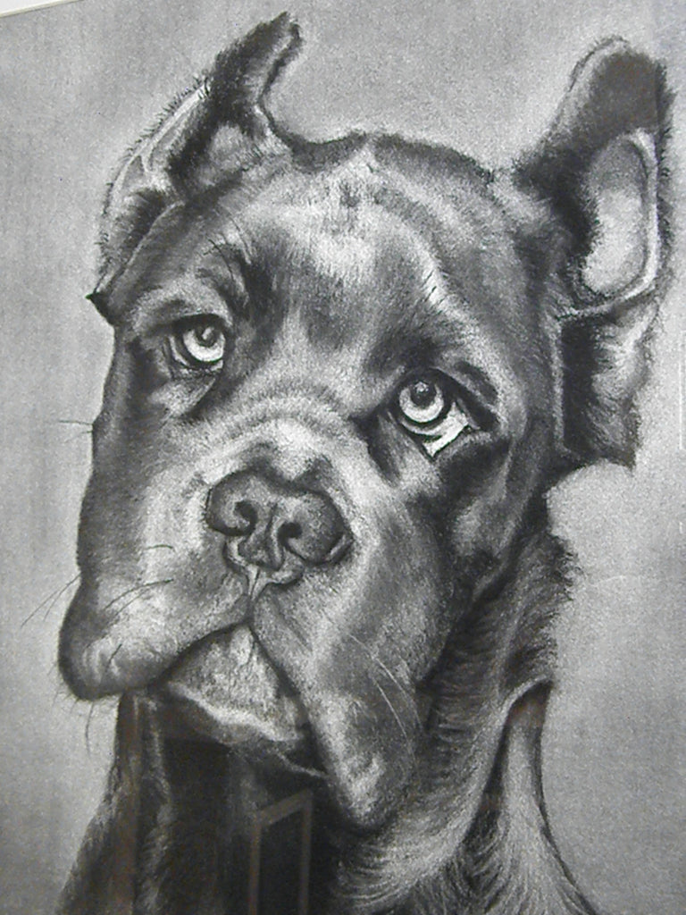 "Cash" Original Framed Charcoal Drawing