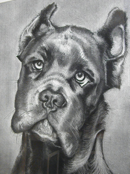 "Cash" Original Framed Charcoal Drawing