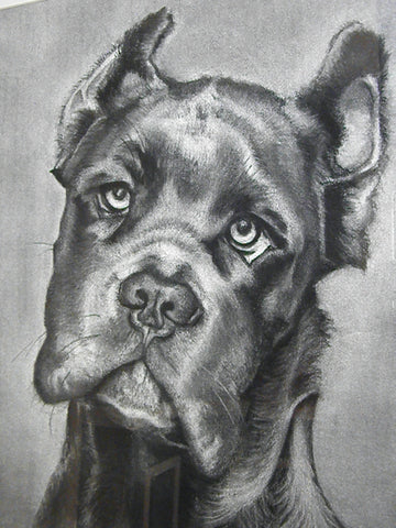 "Cash" Original Framed Charcoal Drawing