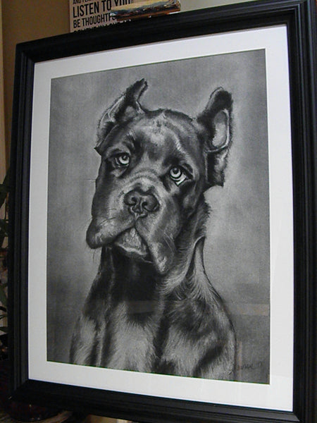 "Cash" Original Framed Charcoal Drawing