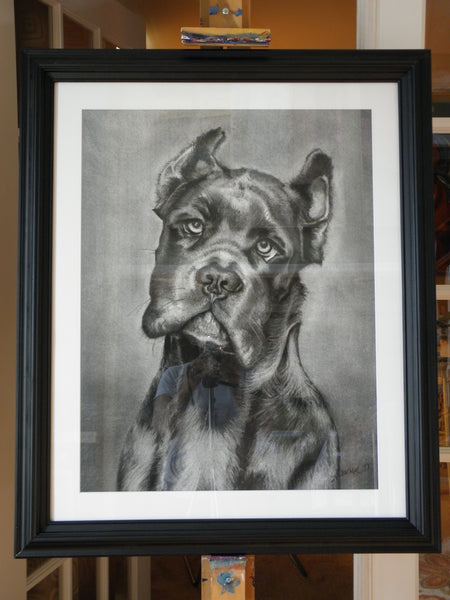 "Cash" Original Framed Charcoal Drawing